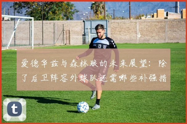 爱德华兹与森林狼的未来展望：除了后卫阵容外球队还需哪些补强措施