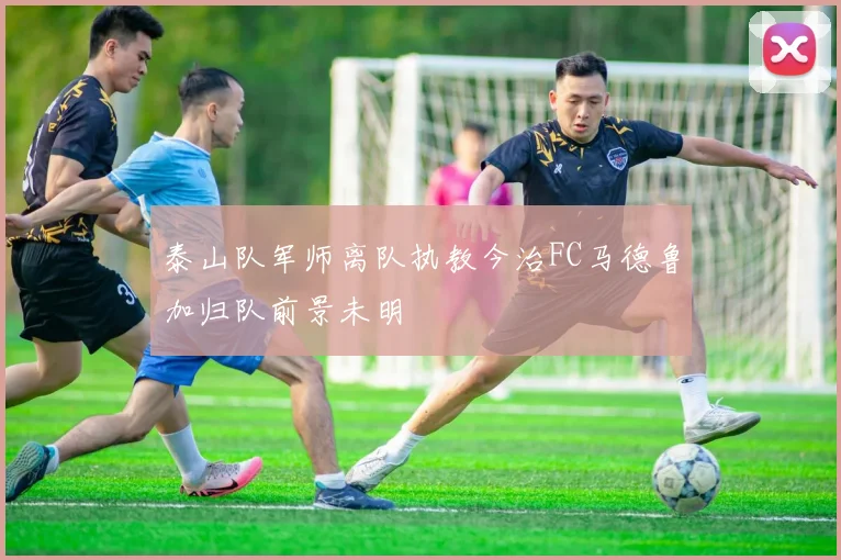 泰山队军师离队执教今治FC马德鲁加归队前景未明